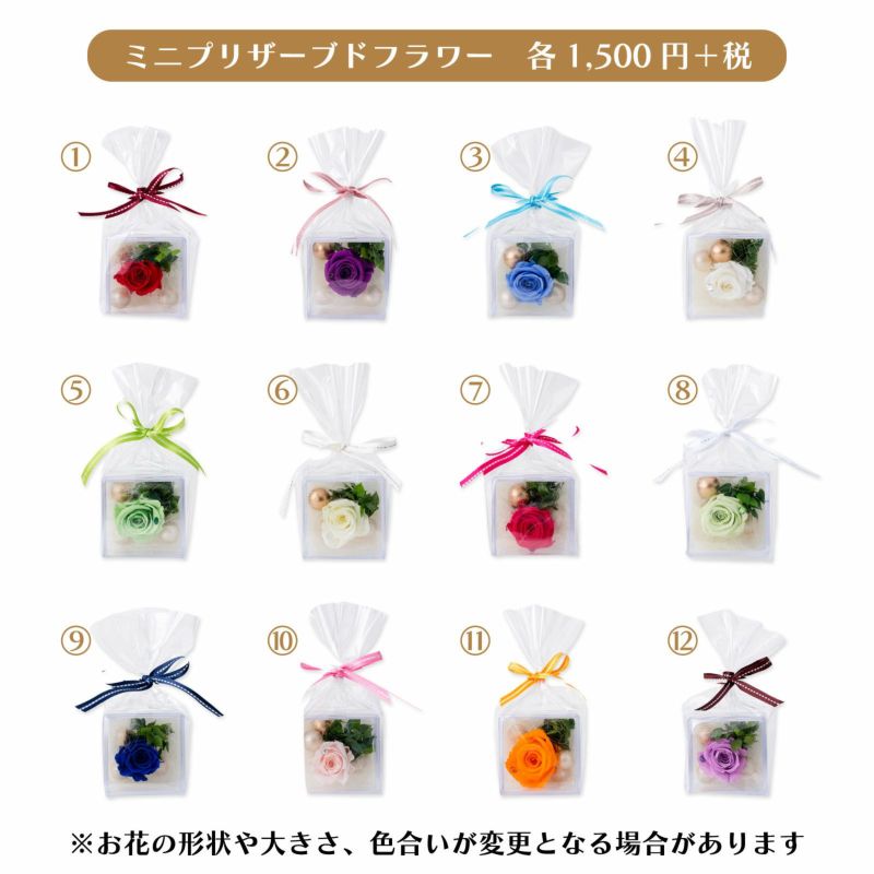 Q-pot. シロネコプリンス ネックレスセット｜レディース